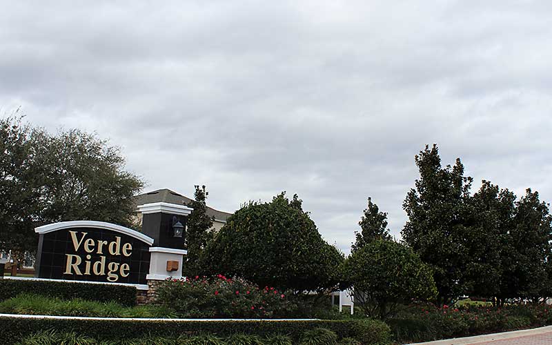 verderidge Huntsman Tree Supplier